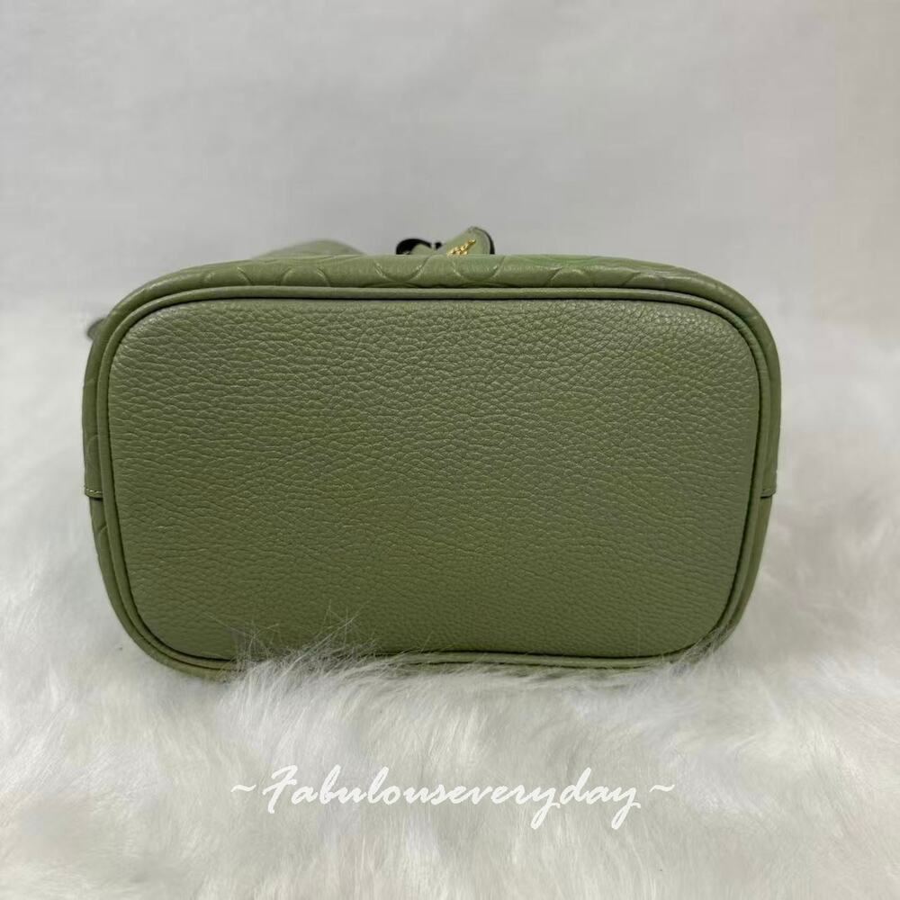 Coach Rowan Bucket Bag Crossbody In Signature Leather CEA96 Pistachio + Pouch - Picture 5 of 7